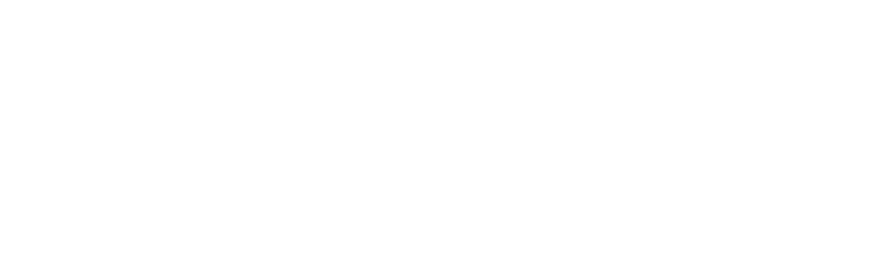 briskData
